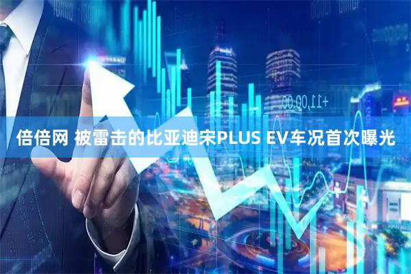 倍倍网 被雷击的比亚迪宋PLUS EV车况首次曝光