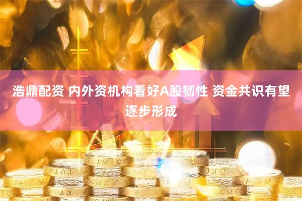 浩鼎配资 内外资机构看好A股韧性 资金共识有望逐步形成