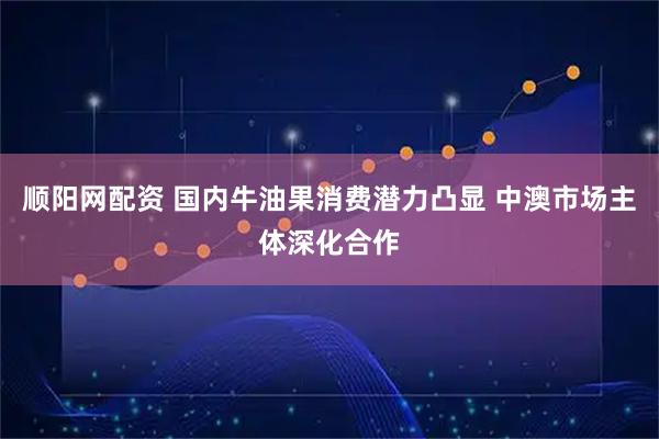 顺阳网配资 国内牛油果消费潜力凸显 中澳市场主体深化合作